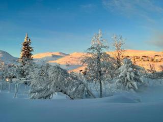 Modern Family Cabin At Vegglifjell - 2