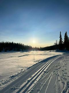 Modern Family Cabin At Vegglifjell - 1