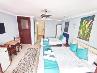 Taksim Rose Residence Hotel - Istambul - 4