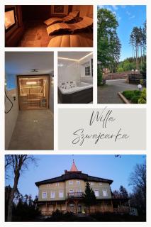 Szwajcarka Willa z sauną i jacuzzi - Kudowa-Zdrój - 9