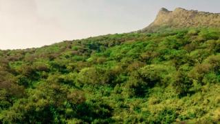 Chebera Elephant Paw Lodge - 8