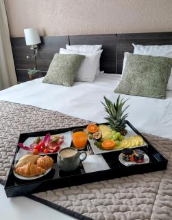 Best Western Alexander Park Chambéry - Chambéry - 9