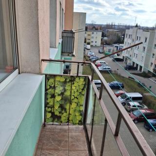 Apartament Agnes - Gniezno - 2