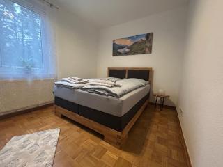 Apartments am Berg - Bad Harzburg - 8