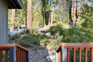 Bearfoot Getaway - Shaver Lake - 4