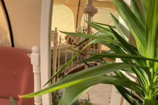 Flower Farm Glamping retreat in Suffolk - Ipswich - 6