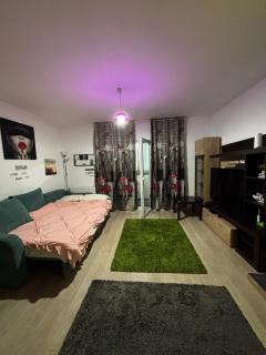 ModernStudio - Bragadiru - 6