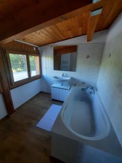 Pretty house in nature in Provence - Champtercier - 5
