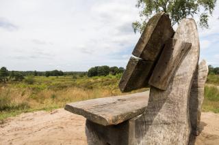 Luxe Chalet Veluwe Sauna en Hottub - Hoenderloo - 7