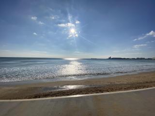 HELIAS appartement face mer remblai LS0477 - Les Sables-dʼOlonne - 9