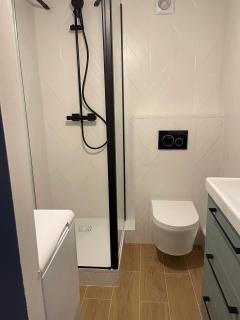 Ambiance Seine, appartement sympatique en bord de Seine - Cygne - Thomery - 4
