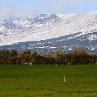 The Cowshed Cottage on The Greenway - Dungarvan - 7
