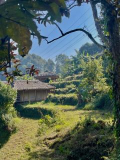 Annapurna Royal Camp - Pokhara - 5