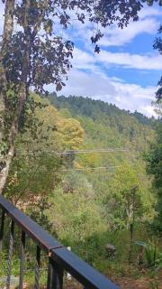 Roca de Guía - San Jose del Pacifico - 5