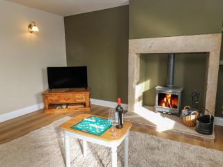 Hollywood Cottage - Barnard Castle - 3