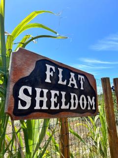 Flat.Sheldom - 0