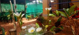 River Breeze cottage Gokarna - Gokarn - 3