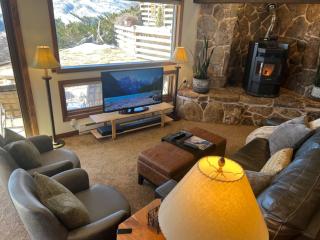 Aspen Chalet 976 - Aspen - 1