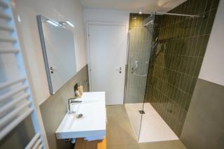 Alpen Suite Apartment - Al Plan di Mareo - 2