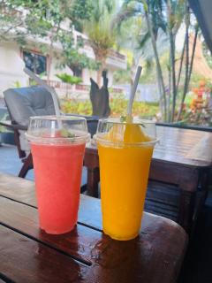 Tropical Palm - Lamai - 2