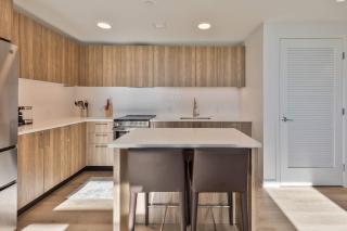 Lux Apt with Sky Terrace and Gym - Boston - 5