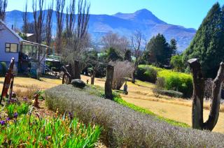 Gentle Presence Cottage 2 - Garden Unit - Clarens - 9