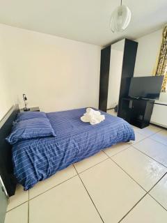 Studio Thermotel 308 - Saint-Martin-dʼUriage - 6