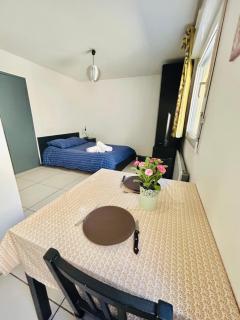 Studio Thermotel 308 - Saint-Martin-dʼUriage - 8
