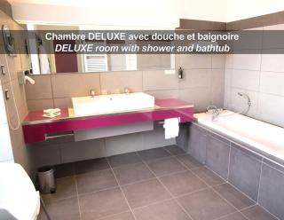 HÔTEL LA FERME DE BOURRAN RODEZ - parking privé gratuit - Rodez - 5