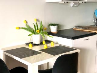 Scandinavian design heart City Center Runeberginkatu - Helsinki - 4