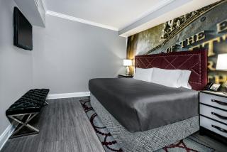 Hotel Indigo Dallas Downtown by IHG - Dallas - 6