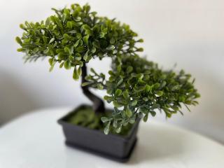 Laureles la castellana habitación 2 - 3