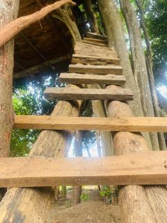 Habarana Tree House Area - Habarana - 2