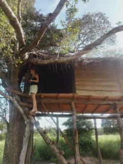 Habarana Tree House Area - Habarana - 3