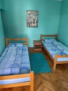 Banja Gornja Trepca-smestaj Grof - Gornja Trepča - 8