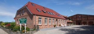 Rose - Fehmarn - 0