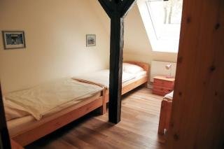 Rose - Fehmarn - 2