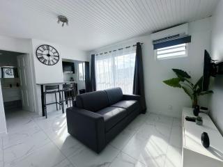 Ebène - F1 au coeur de Fort-de-France - 0