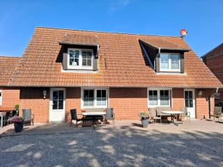 Gänseblümchen - Fehmarn - 0