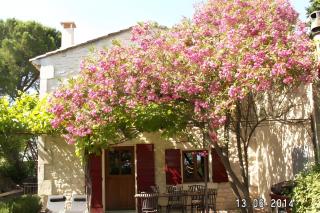 Jolie maison au charme provençal - Tarascon - 3