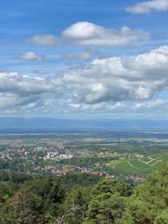 Ausblick apartments - 1
