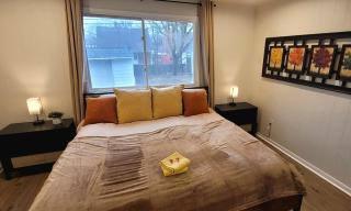 Yellow Harmony - South Euclid - 9