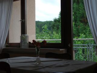 Ferienwohnung mit Pool - Straubenhardt - 2
