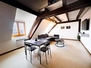 Duplex centre ville - Soultz-Haut-Rhin - 5