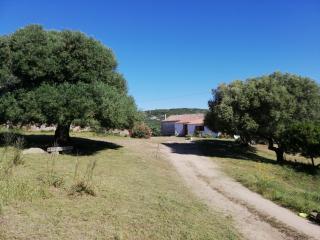 Ferienhaus Stazzo Mit Garten In Luogosanto - Luogosanto - 5