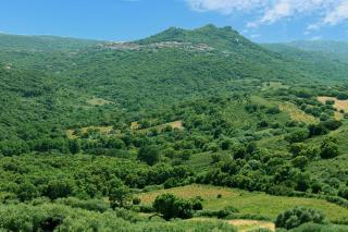 Ferienhaus Stazzo Mit Garten In Luogosanto - Luogosanto - 1