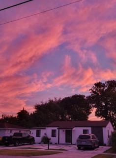 My Tropical Paradise in Miami - 1