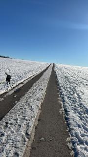 5 Sterne Ferienwohnung im Schwarzwald Schramberg - 9