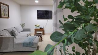 Departamento Tequis, totalmente nuevo en el corazón de SLP - 9