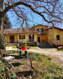 LA GROTTA Bed and Breakfast - Castel Giorgio - 9